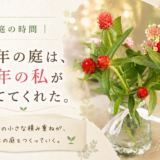 🌿 庭の時間｜今年の庭は、去年の私からの贈り物でした。