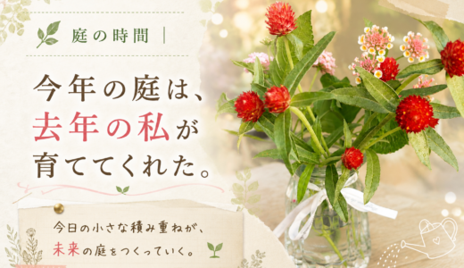 🌿 庭の時間｜今年の庭は、去年の私からの贈り物でした。