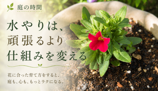 🌿 庭の時間｜水やりは、頑張るより仕組みを変える