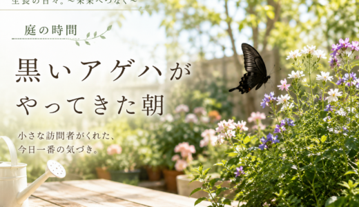 🌿 庭の時間｜黒いアゲハがやってきた朝
