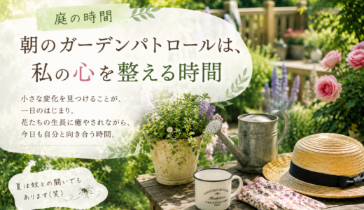🌿 庭の時間｜朝のガーデンパトロールは、私の心を整える時間