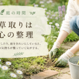 🌿 庭の時間｜草取りは心の整理
