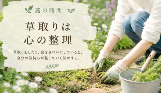🌿 庭の時間｜草取りは心の整理
