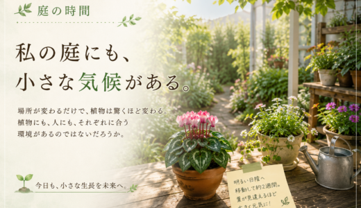 🌿庭の時間｜私の庭にも、小さな気候がある。