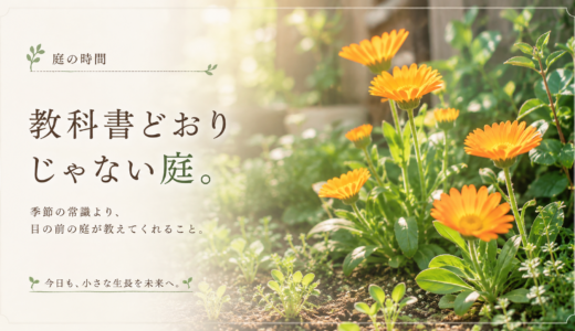🌿 庭の時間｜教科書どおりじゃない庭。