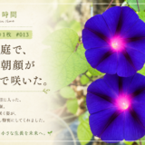 🌿 庭の時間｜今日の1枚 #013　朝の庭で、紫の朝顔が並んで咲いた。