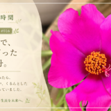 🌿 庭の時間｜今日の1枚 #016　花の中まで、きれいだった松葉牡丹。