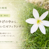 🌿 庭の時間｜今日の1枚 #015　龍のひげの中から、凛と咲いたゼフィランサス。