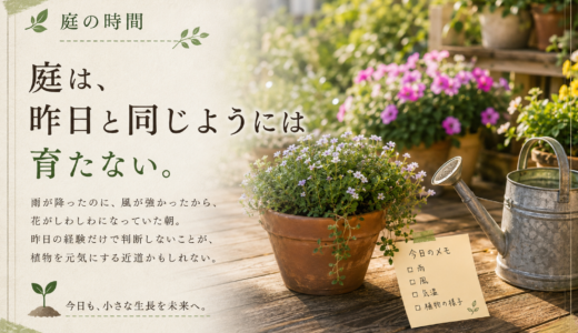 🌿 庭の時間｜庭は、昨日と同じようには育たない。