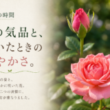 🌿 庭の時間｜蕾の気品と、咲いたときの華やかさ。