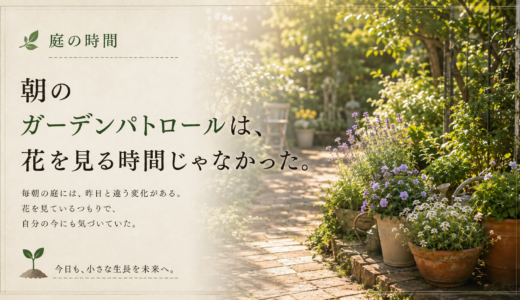 🌿 庭の時間｜朝のガーデンパトロールは、花を見る時間じゃなかった。