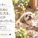 ☕ 健康と暮らし｜娘に送るために撮っていた犬を、いつの間にか私も可愛がっていた。